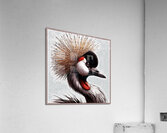 Birds sky tenderness height. Acrylic Print