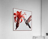 Birds sky tenderness height. Acrylic Print