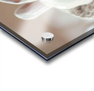 DOWNLOAD   2.Sleeping Beauty 24x30 4 5ratio Acrylic print