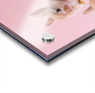 DOWNLOAD   Bunnies on yellow and pink 24x30 4 5ra Acrylic print