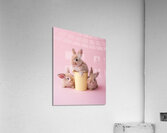 DOWNLOAD   Bunnies on yellow and pink 24x30 4 5ra Acrylic Print