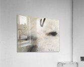HIDDEN RABBIT Acrylic Print