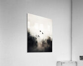 Flying Over -  3:4 ratio Acrylic Print