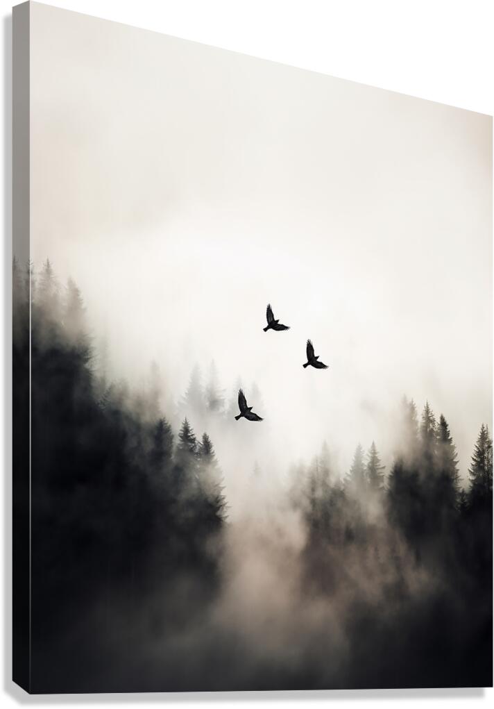 Flying Over - 4:5 ratio Canvas Print