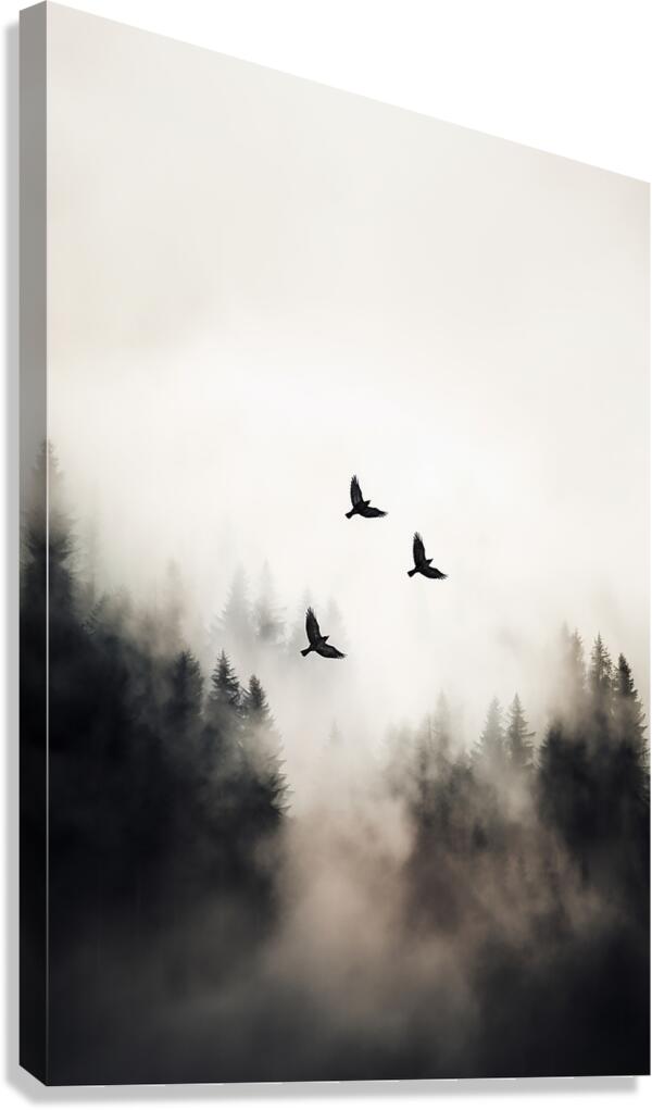 Flying Over - 2:3 ratio Canvas Print