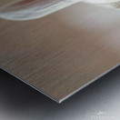 DOWNLOAD   2.Sleeping Beauty 24x30 4 5ratio Metal print