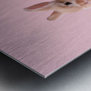 DOWNLOAD   Bunnies on yellow and pink 24x30 4 5ra Metal print