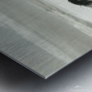 Run Free  Metal print