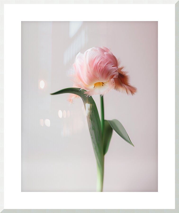 DOWNLOAD   Furry Pink 24x30 4 5ratio Picture Frame print