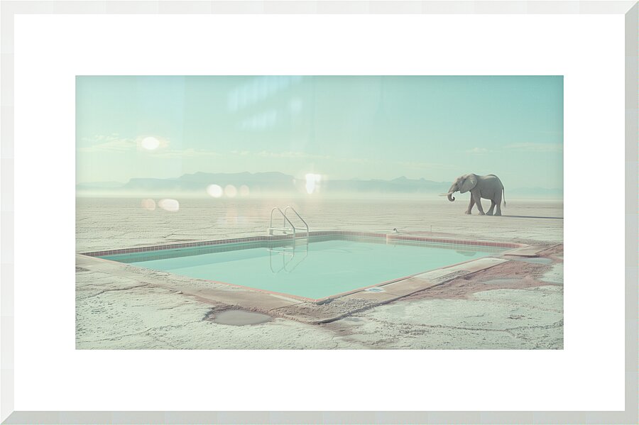 Elephant by the Pool  Picture Frame print