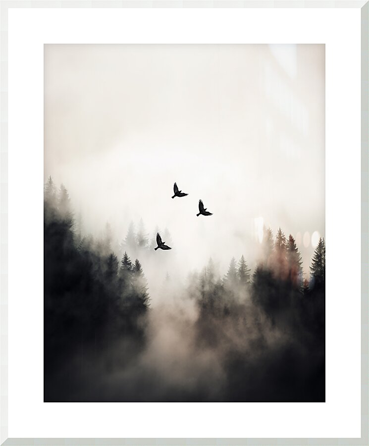 Flying Over  - 11:14ratio Picture Frame print