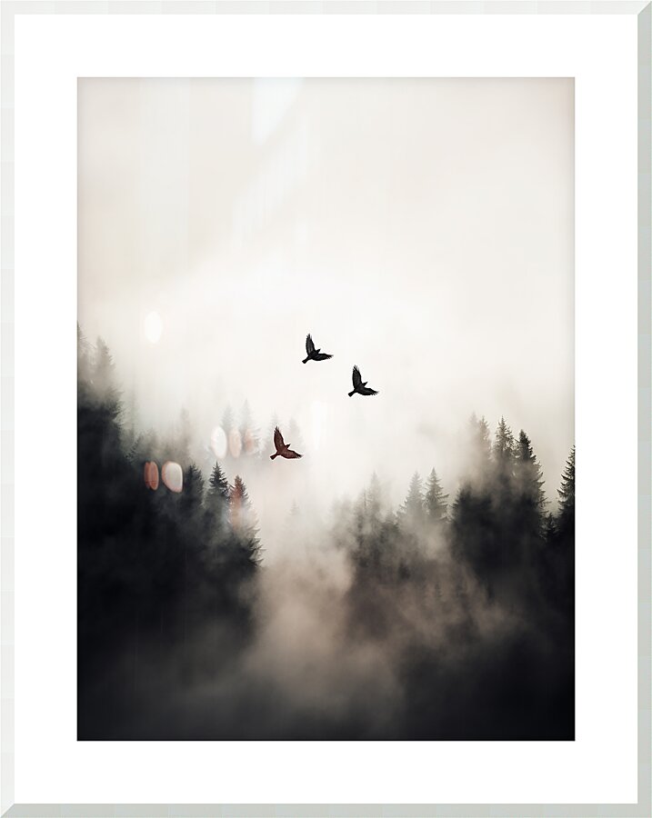 Flying Over -  3:4 ratio Picture Frame print