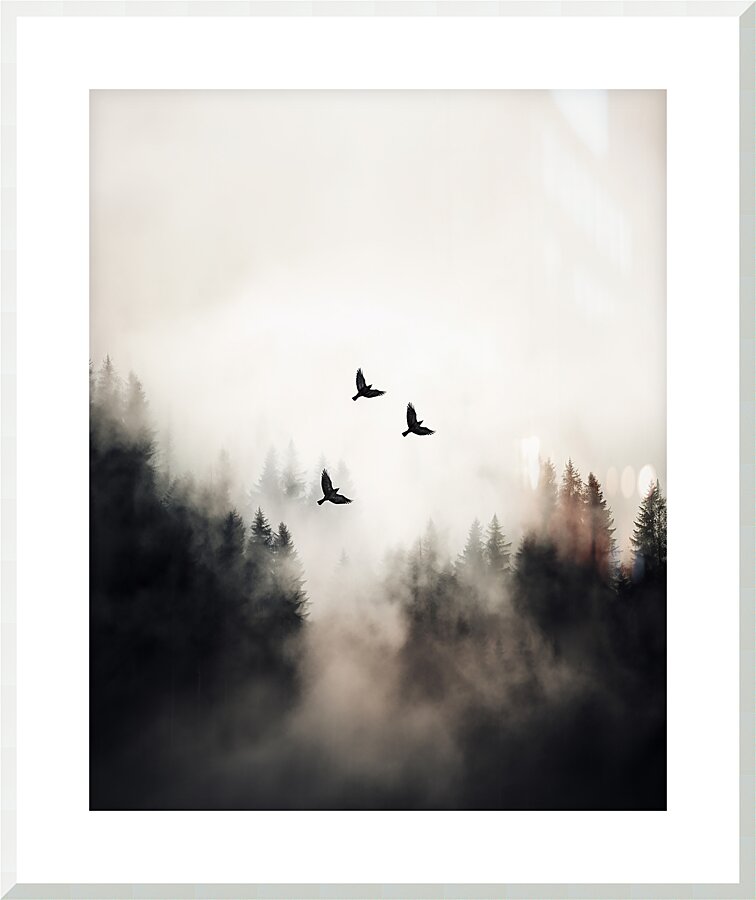 Flying Over - 4:5 ratio Picture Frame print