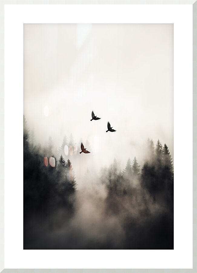 Flying Over - 2:3 ratio Picture Frame print