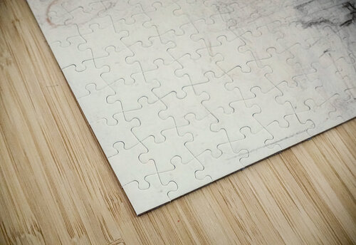 SODA EXSACC Artistic Findings puzzle