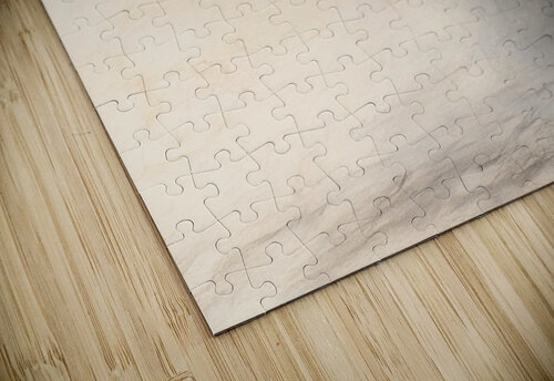 DARK CLOUD EXSACC Artistic Findings puzzle