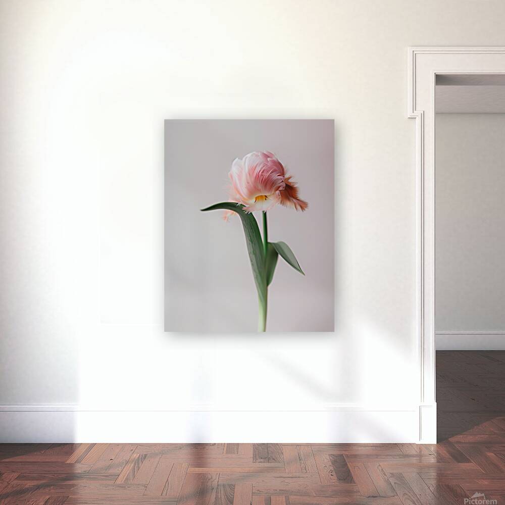 DOWNLOAD   Furry Pink 24x30 4 5ratio Reproduction