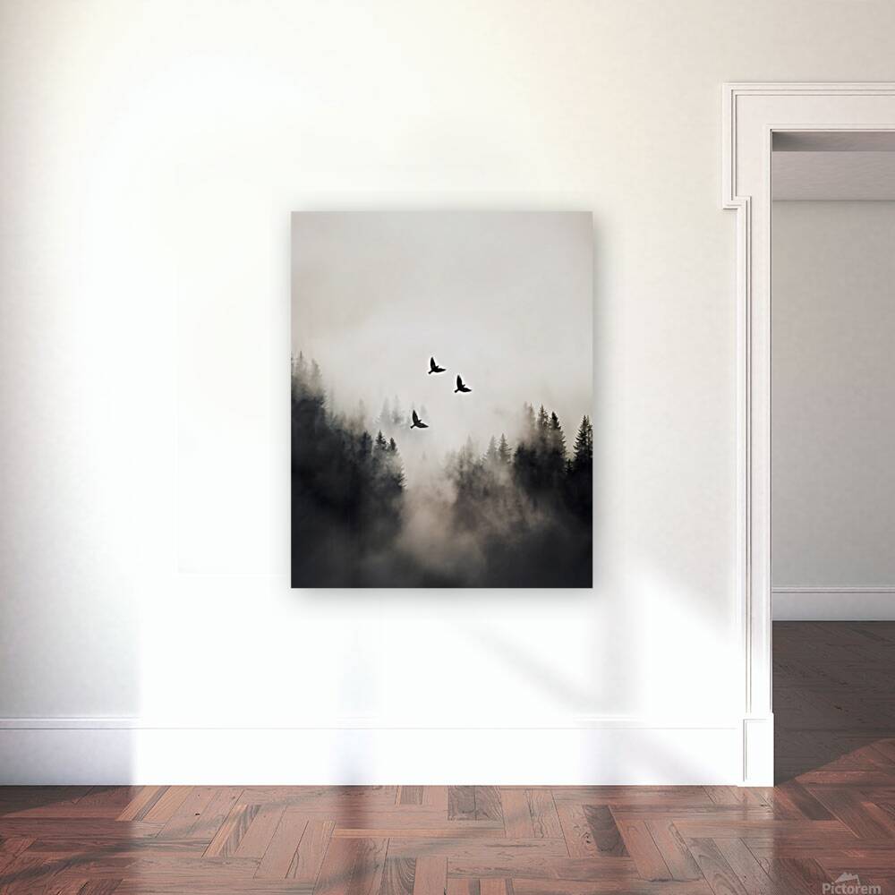 Flying Over - 4:5 ratio Reproduction