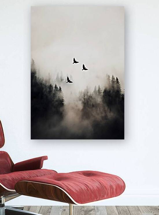 Flying Over - ISO ratio by EXSACC Artistic Findings