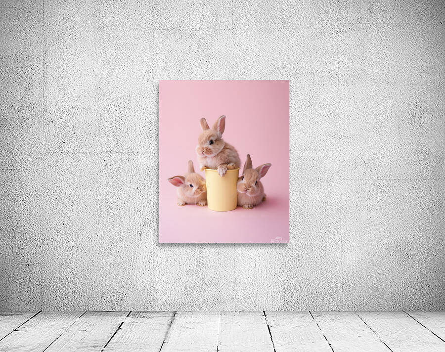DOWNLOAD   Bunnies on yellow and pink 24x30 4 5ra Wall Preview