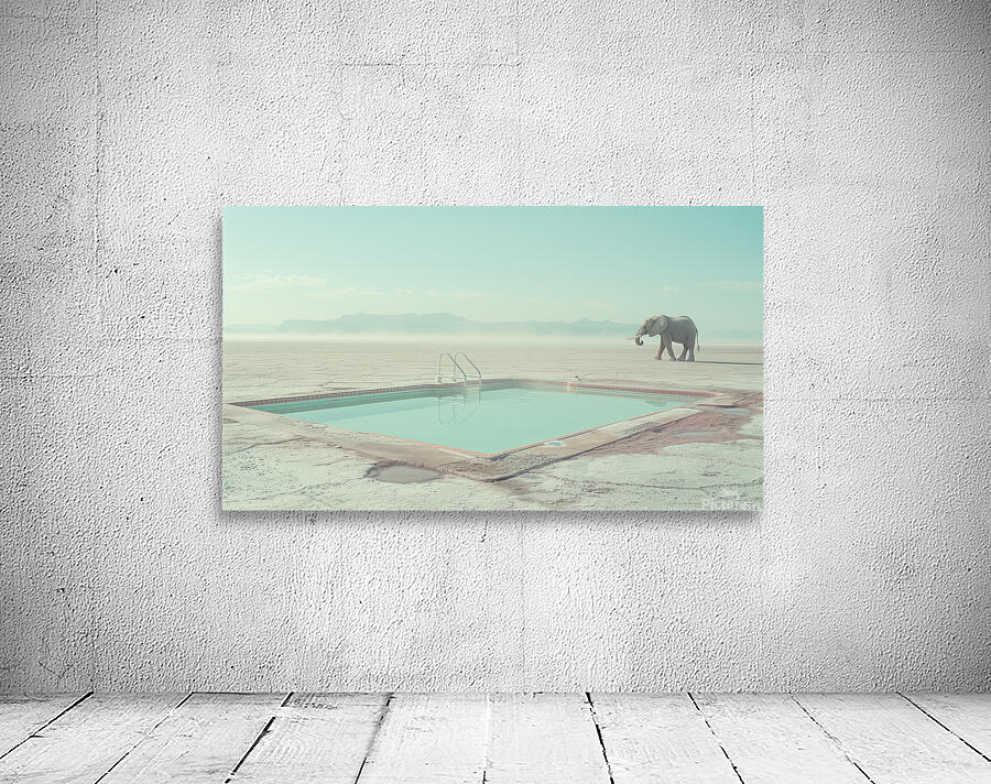 Elephant by the Pool  Wall Preview