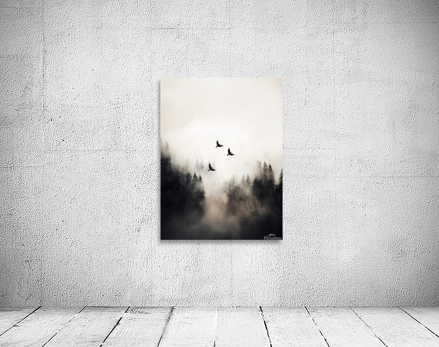 Flying Over -  3:4 ratio Wall Preview