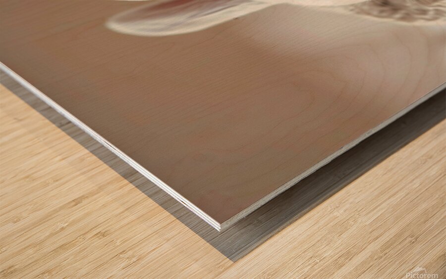 DOWNLOAD   2.Sleeping Beauty 24x30 4 5ratio Wood print