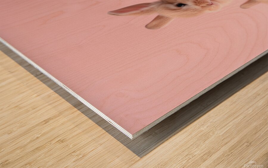 DOWNLOAD   Bunnies on yellow and pink 24x30 4 5ra Wood print