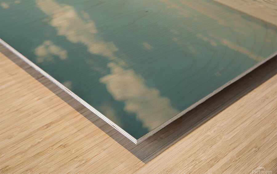 Someone is Watching  Wood print