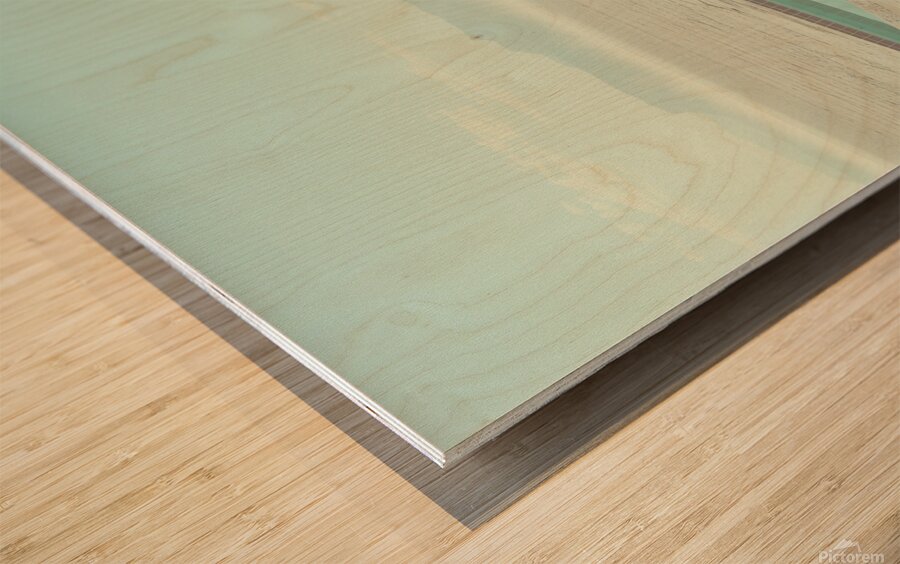 Elephant by the Pool  Wood print