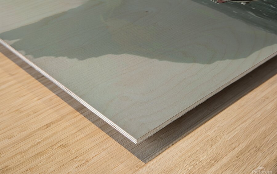 Lone Bike  Wood print