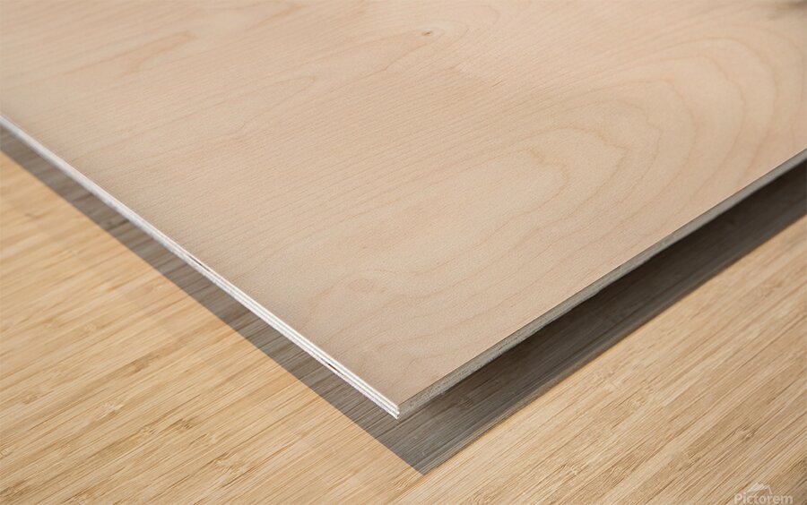 Flying Over -  3:4 ratio Wood print