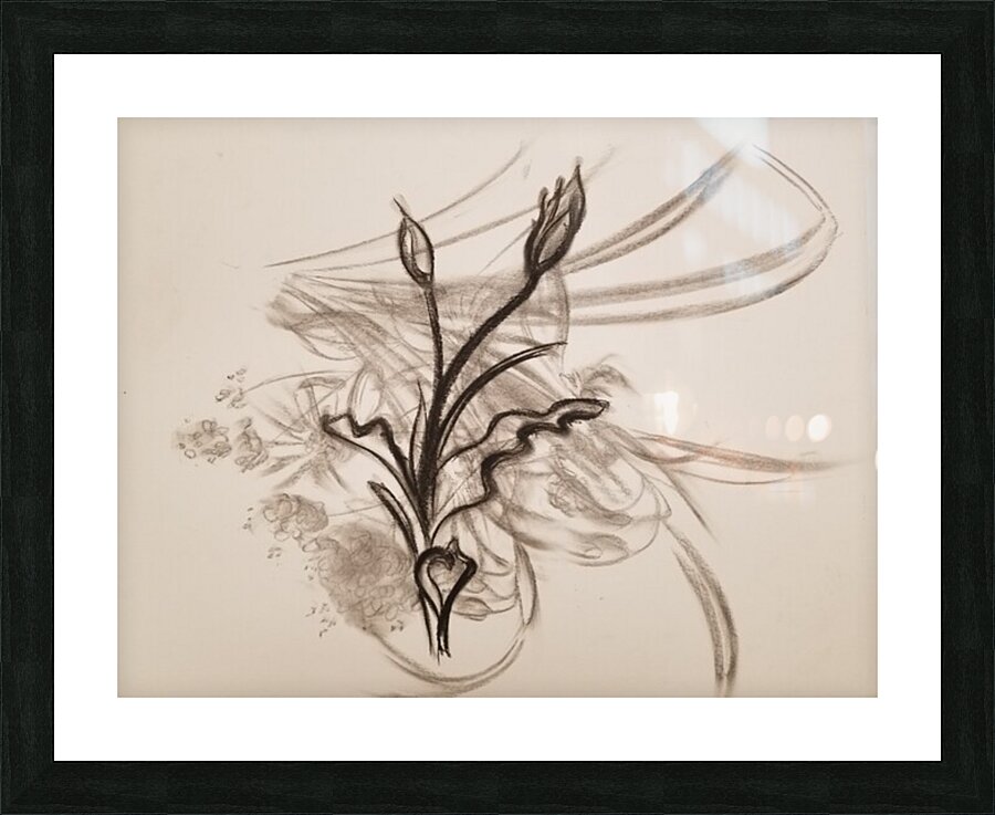  Fine Art print
