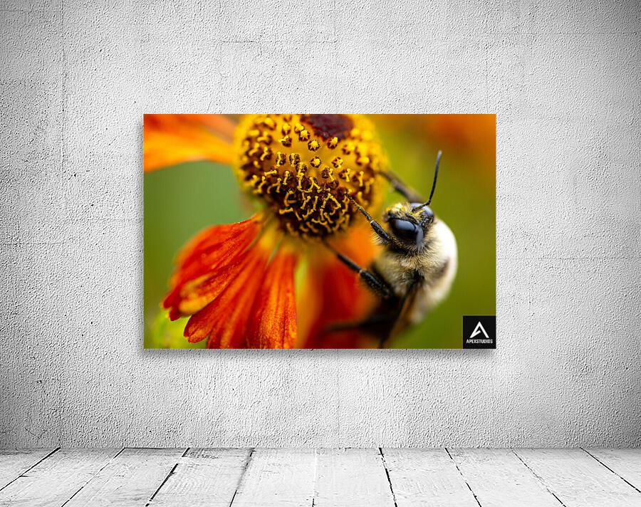 Buzzed On The Job Wall Preview