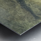 Autumn leaf Metal print