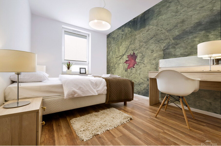 Autumn leaf Mural print