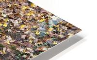 Fall 1 HD Metal print