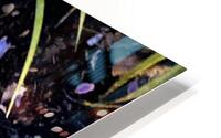 Halloween 1 HD Metal print