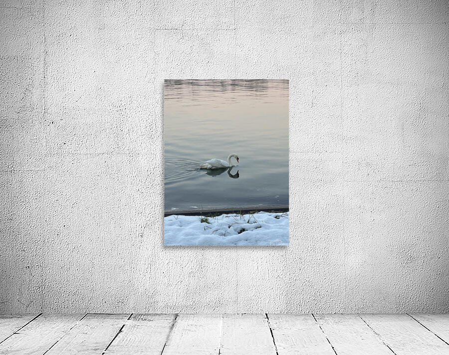 Swan Wall Preview