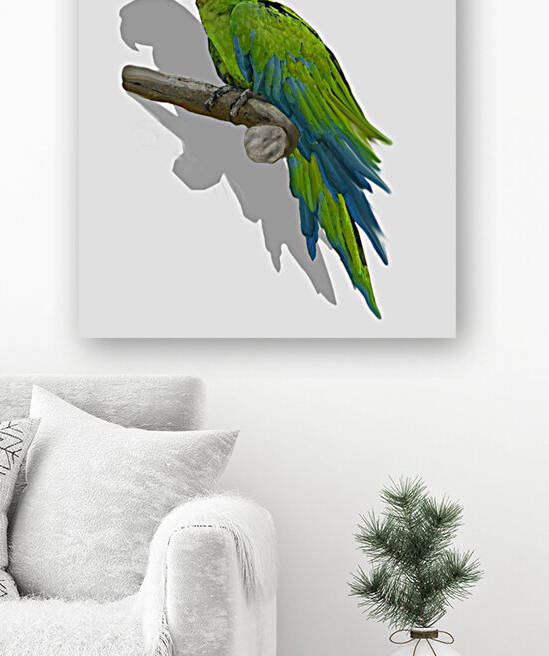 Green Macaw 3-D Floating Wall Decor Decal by Game Changer Graphics LLC