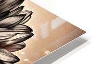 Abstract flower  HD Metal print