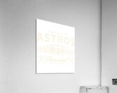 Houston Astros 5 Acrylic Print