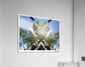 Building Insect Acrylic Print