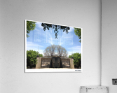 Fantasy Park  3 Acrylic Print