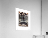 Carpet Roles Acrylic Print