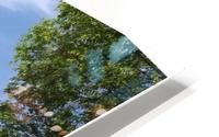 Fantasy Park  2 HD Metal print