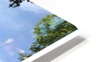 Fantasy Park  3 HD Metal print