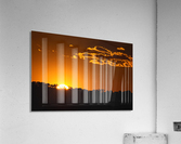 The Hidden Sun Acrylic Print
