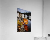 Autumn Leaves Acrylic Print