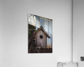 Birdhouse Acrylic Print